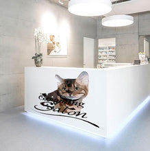 Load image into Gallery viewer, Cat Sticker, Grooming Salon Decal, Polygonal Style Design, Animal Wall Art, Pet Vinyl Wallpapers, Haircut for Cats, Pet Shop, Zoo