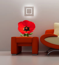 Load image into Gallery viewer, Poppy Flower Wall Decal, Poppy Flower Wall sticker, Poppy Flower wall decor, Poppy Flower Wall Art