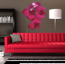 Load image into Gallery viewer, Orchid Wall Decal, Orchid Wall sticker, Orchid wall decor, Orchid Wall Art