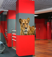 Load image into Gallery viewer, Lioness Wall Decal, Lioness Wall sticker, Lioness wall decor, Lioness Wall Art