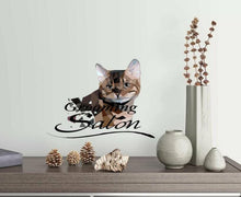 Load image into Gallery viewer, Cat Sticker, Grooming Salon Decal, Polygonal Style Design, Animal Wall Art, Pet Vinyl Wallpapers, Haircut for Cats, Pet Shop, Zoo