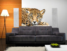 Load image into Gallery viewer, Leopard Wall decal living room Leopard Animal decals for walls Animal Wall sticker Leopard wall décor Vinyl decal animals, AN-209