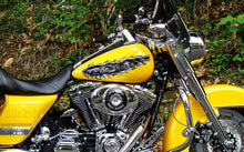 Load image into Gallery viewer, Dragons Ripped Metal Motorcycle Vinyl, Dirt Bike Wrap, Racing Bike Vinyl, Dragons Pride Sport Bike Vinyl, Bike Wrap