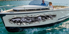 Load image into Gallery viewer, Dragons Ripped Metal Watercraft Vinyl, Dragons Cigar Boat Side Graphics, Full Color Yacht Graphics