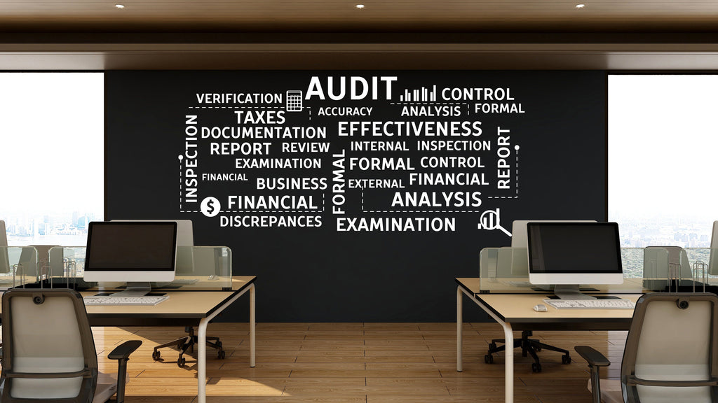 Audit Wall Decor Office Wall Decal Accounting Financial Teamwork Business Worker Inspire Office Decor Motivation Stickers Unique Gift 195LU
