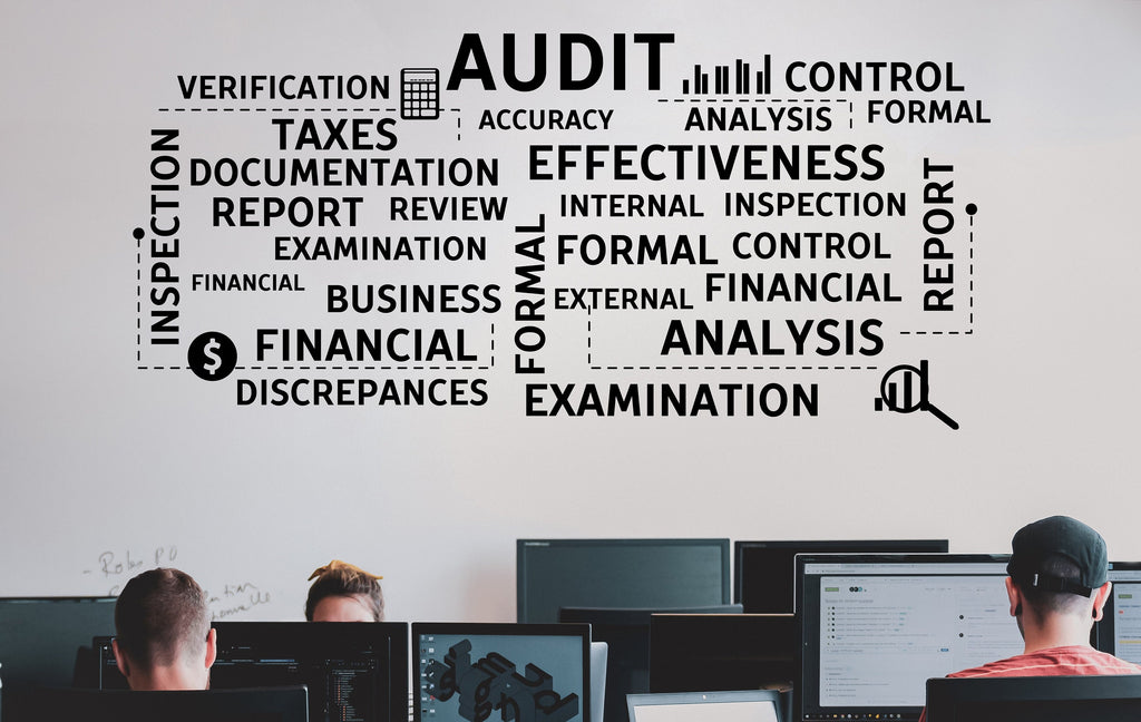 Audit Wall Decor Office Wall Decal Accounting Financial Teamwork Business Worker Inspire Office Decor Motivation Stickers Unique Gift 195LU