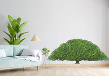 Load image into Gallery viewer, Large Tree Wall Art Decal, Tree wall Decal Wall Sticker Decor, Living Room Decor, Baby Nursery Decals Tree Decal Home Wall Decor Vinyl 317LU