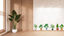 Load image into Gallery viewer, Plant potted wall stickers, Plants Pots wall vinyl sticker decal, Plants wall decoration, Flower plant wall decal, Living Room decor 336LU