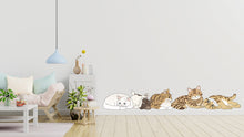 Load image into Gallery viewer, Cat wall decals, Grooming wall decor, Veterinary decals, Pet lover gift, Pet shop cat house wall vinyl decal, Pet wall vinyl decal 344LU