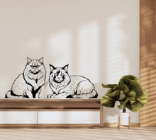 Load image into Gallery viewer, Cat wall decals, Grooming wall decor, Veterinary decals, Pet lover gift, Pet shop cat house wall vinyl decal, Pet wall vinyl decal 381LU