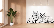 Load image into Gallery viewer, Cat wall decals, Grooming wall decor, Veterinary decals, Pet lover gift, Pet shop cat house wall vinyl decal, Pet wall vinyl decal 381LU