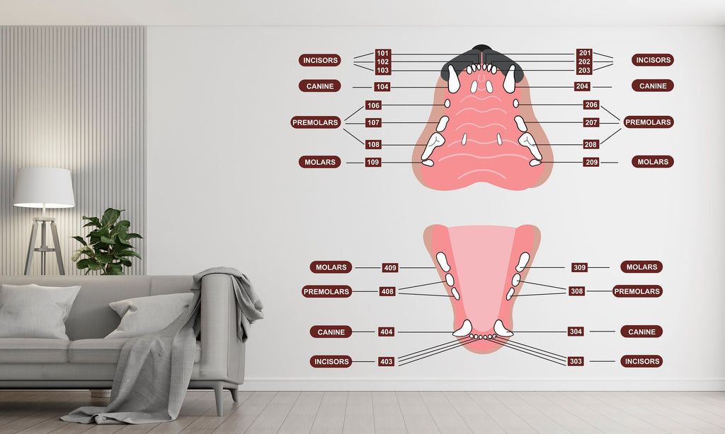 Dental Cat wall decal Feline decor Cat Tooth Cat wall art Decal Cat Lover Vet Clinic wall decal Cat Wall Bathroom Decal Stickers Vinyl 331RS