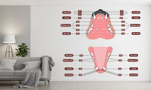 Load image into Gallery viewer, Dental Cat wall decal Feline decor Cat Tooth Cat wall art Decal Cat Lover Vet Clinic wall decal Cat Wall Bathroom Decal Stickers Vinyl 331RS