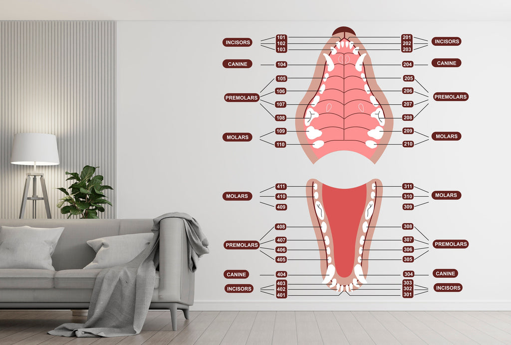Dental Dog wall decal Dog decor Dog Tooth Dog wall art Decal Dog Lover Vet Clinic wall decal Dog Wall Bathroom Decals Stickers Vinyl 314RS