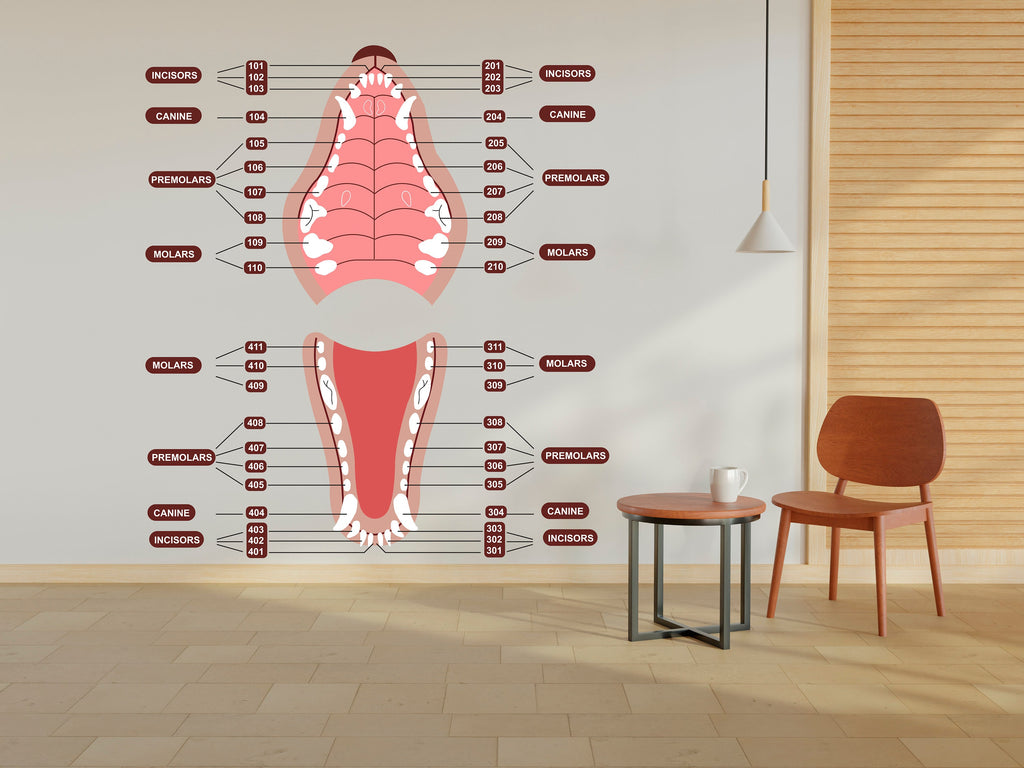 Dental Dog wall decal Dog decor Dog Tooth Dog wall art Decal Dog Lover Vet Clinic wall decal Dog Wall Bathroom Decals Stickers Vinyl 314RS