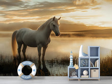 Load image into Gallery viewer, Horse and Sunset Wall Mural - Peaceful Nature Wallpaper - Peel and Stick Decor for Bedroom, Living Room, or Farmhouse Style Spaces Vn024