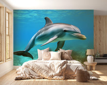 Load image into Gallery viewer, Dolphin Wall Mural – 3D Ocean Underwater Wallpaper for Kids Room, Boys Bedroom, Sea Animal Peel and Stick Removable Decor
