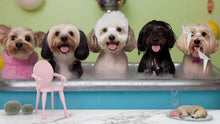 Load image into Gallery viewer, Dog Grooming Salon Wallpaper – Adorable Dog Bubble Bath Mural for Pet Spa, Groomer Backdrop, Pet Salon Decor – Cute Dog Wash Wall Art Wall