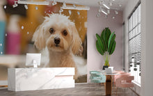 Load image into Gallery viewer, Cute Wet Dog Wall Mural – Funny Dog Grooming Salon Wallpaper, Pet Spa Wall Decor for Pet Salons, Puppy Wash Station Decor, Dog Portrait