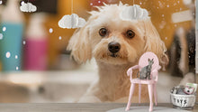 Load image into Gallery viewer, Cute Wet Dog Wall Mural – Funny Dog Grooming Salon Wallpaper, Pet Spa Wall Decor for Pet Salons, Puppy Wash Station Decor, Dog Portrait