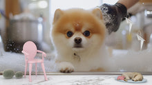 Load image into Gallery viewer, Pomeranian Dog Bath Wall Mural – Cute Dog Grooming Salon Wallpaper for Pet Spa Decor | Fluffy Puppy in Tub Pet Grooming Studio Backdrop