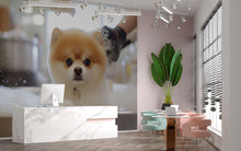 Load image into Gallery viewer, Pomeranian Dog Bath Wall Mural – Cute Dog Grooming Salon Wallpaper for Pet Spa Decor | Fluffy Puppy in Tub Pet Grooming Studio Backdrop