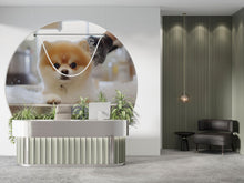 Load image into Gallery viewer, Pomeranian Dog Bath Wall Mural – Cute Dog Grooming Salon Wallpaper for Pet Spa Decor | Fluffy Puppy in Tub Pet Grooming Studio Backdrop