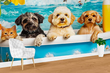 Load image into Gallery viewer, Dog Grooming Salon Wallpaper Pet Spa Decor With Dogs In Bathtub | Cute Cat And Dog Wall Mural For Groomers | Funny Pet Wash Wall Art
