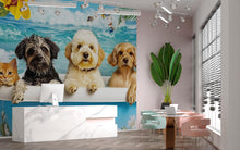 Load image into Gallery viewer, Dog Grooming Salon Wallpaper Pet Spa Decor With Dogs In Bathtub | Cute Cat And Dog Wall Mural For Groomers | Funny Pet Wash Wall Art