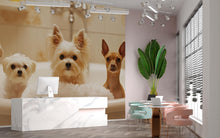 Load image into Gallery viewer, Dog Grooming Salon Wallpaper With Cute Dogs In Bubble Bath | Modern Pet Spa Wall Mural For Groomers | Stylish Animal Decor For Pet Salon