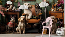 Load image into Gallery viewer, Whimsical Dog Grooming Salon Wallpaper With Vintage Decor | Funny Pet Spa Wall Mural With Cute Dogs And Cats | Groomer Decor Gift