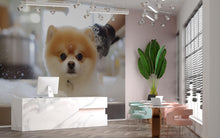 Load image into Gallery viewer, Cute Pomeranian Dog Art Print | Whimsical Pet Bathroom Decor | Surreal Animal Wall Art for Dog Lovers Vn671