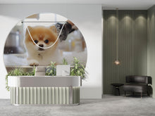 Load image into Gallery viewer, Cute Pomeranian Dog Art Print | Whimsical Pet Bathroom Decor | Surreal Animal Wall Art for Dog Lovers Vn671