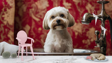 Load image into Gallery viewer, Dog Grooming Salon Wall Mural – Cute Wet Dog Wallpaper for Pet Spa Decor, Dog Wash Station, Pet Salon Backdrop, Custom Size Available