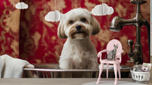 Load image into Gallery viewer, Dog Grooming Salon Wall Mural – Cute Wet Dog Wallpaper for Pet Spa Decor, Dog Wash Station, Pet Salon Backdrop, Custom Size Available