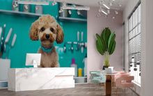 Load image into Gallery viewer, Dog Grooming Wall Mural – Cute Poodle with Blue Collar in Pet Salon | Dog Spa Backdrop, Grooming Studio Wall Art, Pet Boutique Decor