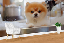 Load image into Gallery viewer, Pomeranian Dog Bath Wall Mural – Cute Dog Grooming Salon Wallpaper for Pet Spa Decor | Fluffy Puppy in Tub Pet Grooming Studio Backdrop