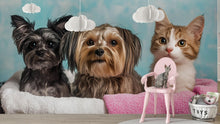 Load image into Gallery viewer, Dog And Cat Grooming Spa Wallpaper With Pets Wrapped In Towels | Cute Animal Wall Mural For Pet Salon Or Vet Office | Dog Groomer Gift