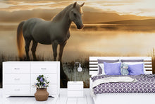 Load image into Gallery viewer, White Horse Sunrise Wall Mural – Peaceful Nature Lake Scene | Horse Lover Bedroom Decor Vn024
