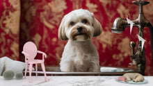 Load image into Gallery viewer, Whimsical Dog Bathroom Art Print – Cute White Dog in Bathtub with Mini Chair &amp; Sleeping Pup – Funny Dog Wall Decor for Pet Lovers Vn666