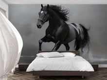 Load image into Gallery viewer, 3D Black Stallion Wallpaper Mural | Bold Horse Wall Art For Bedroom Or Office | Modern Equestrian Wall Decor | Stylish Peel And Stick