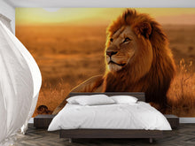 Load image into Gallery viewer, Lion King Wall Mural Wallpaper For Bedroom Living Room Safari Jungle Decor – Bold 3D Animal Wall Art Modern Safari Theme Stylish Gift Home