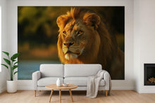 Load image into Gallery viewer, Lion Wall Mural Wallpaper – Majestic 3D Jungle Safari Decor for Living Room, Bedroom, Kids Room – Bold Animal Wall Art, Modern Home Decor