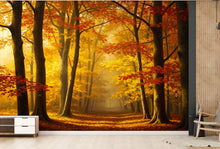 Load image into Gallery viewer, Autumn Forest Wallpaper Watercolor autumn Leaves Mural Fall Forest Wall Art for Nursery Bedroom or Living Room 843RS