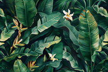 Load image into Gallery viewer, Tropical Jungle Leaf Wallpaper Mural – Bold Banana Leaf Wall Decor for Kids Room, Nursery or Living Room – Modern Peel and Stick Removable