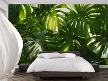 Load image into Gallery viewer, Oversized Monstera Leaf Wallpaper Mural – Bold Tropical Jungle Wall Decor for Bedroom, Living Room or Office – Modern Stylish Accen
