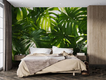 Load image into Gallery viewer, Oversized Monstera Leaf Wallpaper Mural – Bold Tropical Jungle Wall Decor for Bedroom, Living Room or Office – Modern Stylish Accen