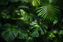 Load image into Gallery viewer, Tropical Palm Leaf Wallpaper Mural – Bold Green Jungle Monstera Wall Decor for Bedroom, Living Room or Office – Modern Stylish Accent