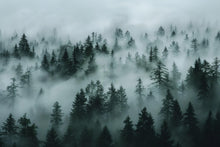 Load image into Gallery viewer, Foggy Pine Forest Wallpaper Mural – Dark Green Woodland Wall Decor for Bedroom, Living Room or Kids Room – Modern Bold Accent Removable