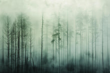 Load image into Gallery viewer, Misty Forest Wallpaper Mural – Dark Green Woodland Wall Decor for Bedroom, Living Room or Office – Modern Bold Accent Wall Removable